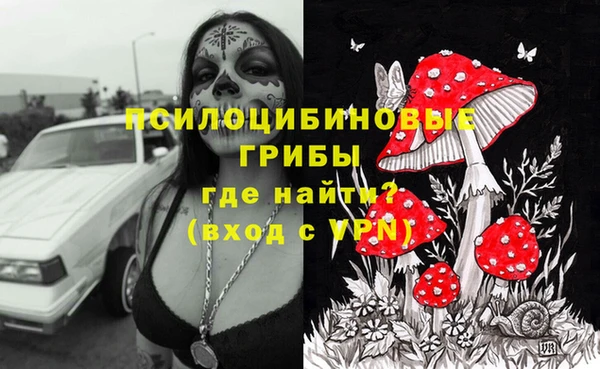 Альфа ПВП Приозерск