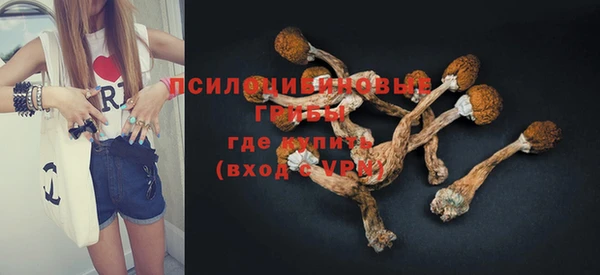 дживик Покров