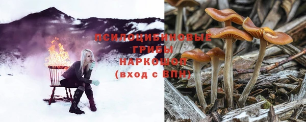молекула духа Покровск