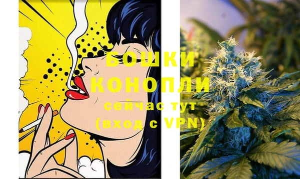 шишки Пестово